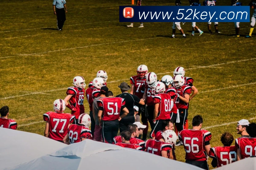 星空平台登录入口平台生态图